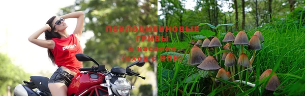 не бодяженный Пролетарск