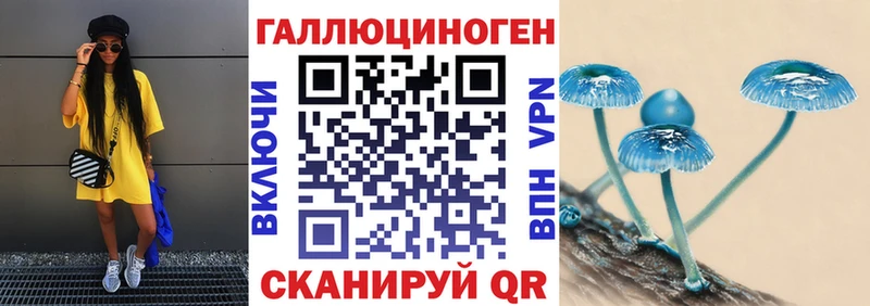 купить  сайты  Славянск-на-Кубани  hydra как войти  Псилоцибиновые грибы мицелий 